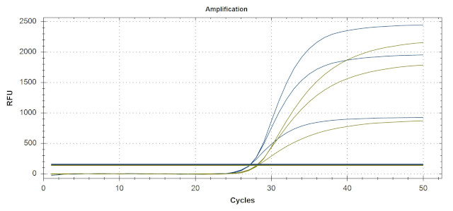 1092 Анализ склонности к гестозу