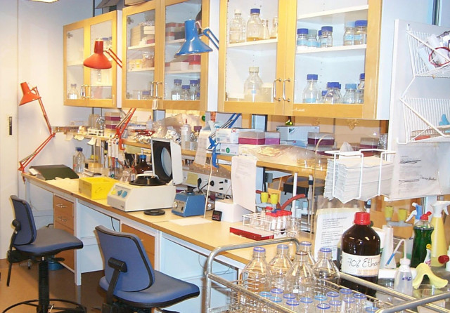 1006-1008, 1010 Установление биологического родства